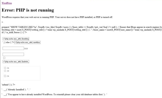 PHP is not running 오류